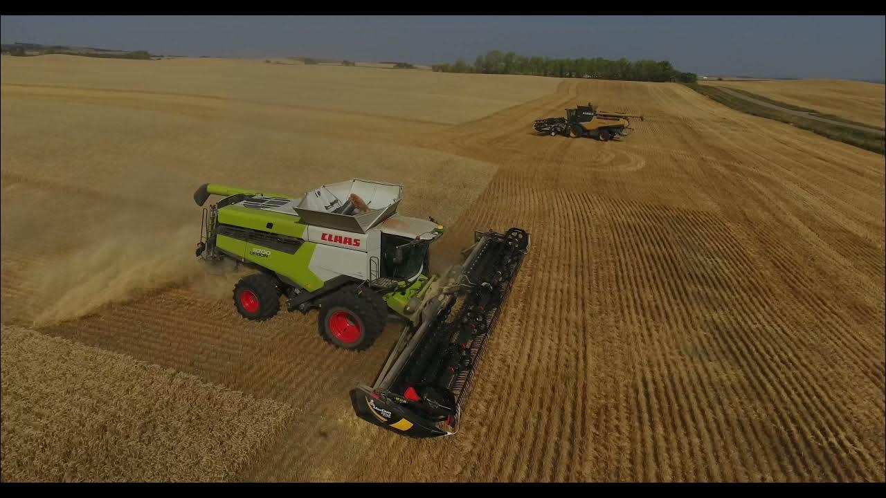 Gridley Farms 2021 Starland County, Alberta. YouTube