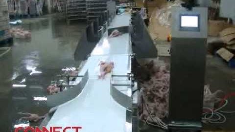 CONNECT Weighing and grading machine test-poultry processing equipment