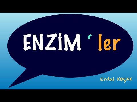 Video: Enzimler nasıl katalizör görevi görür?