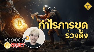 BitcoinCrazy : กำไรการขุดร่วงดิ่ง