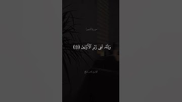 وَإِنَّهُ لَتَنزيلُ رَبِّ الْعَالَمِينَ} الآية:192 سورة الشعراء