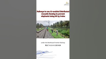 Railways to use AI-enabled Distributed Acoustic Sensing to prevent elephants being hit by trains