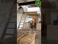Light Colored Wood Types & Uses | AtoZ Wood Company – Bright & Elegant Timber Choices