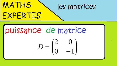 Terminale Maths Expertes- Les matrices - exercice : puissance d