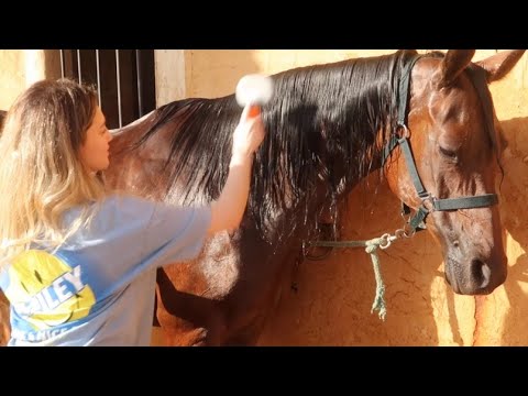    نهاية الاسبوع بالمزرعة ركوب الخيل لو خيروك مع رفيقتي لبست ثياب الوليد