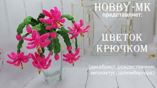 картинка: Букет крючком Рождественник (зигокактус, декабрист - авторский МК Светланы Кононенко)
