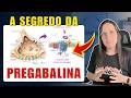 Por que a Pregabalina funciona na dor — mesmo sem ser um analgésico?