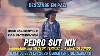Rey Quiche Chalo Y Su Indiana, Recordando A Pedro Sut Nix, Xeabaj