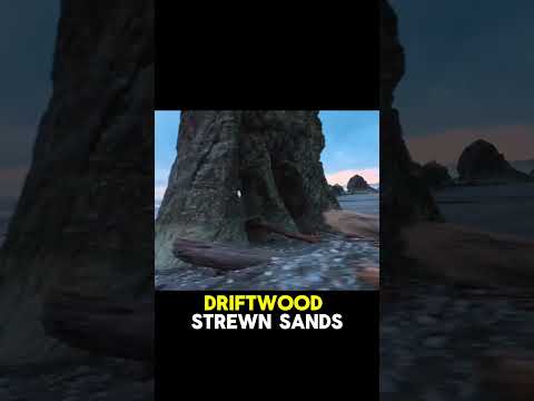 Olympic National Park USA | #shorts