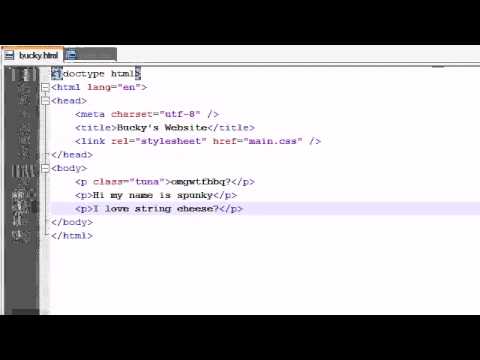 HTML5 Tutorial 5 Attribute Selectors - YouTube