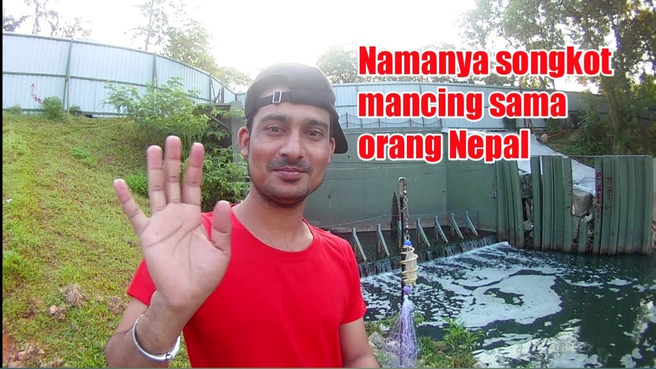 PANCING JARING ikan nila bersama orang nepal 