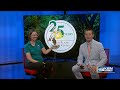 Great Plains Nature Center introduces Tito the American kestrel and previews Pollinator Party
