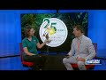 Great Plains Nature Center introduces Tito the American kestrel and previews Pollinator Party