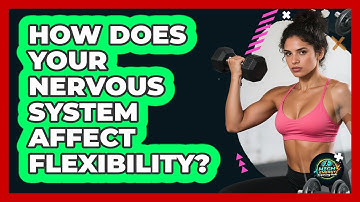 How Does Your Nervous System Affect Flexibility? - High Energy Training Hub