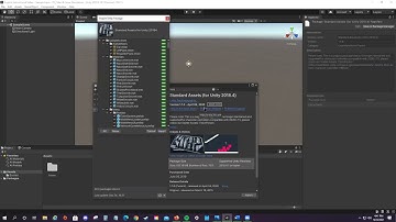 How To Use Unity Import Package Manager (ENGL 2210 sec 007 Project 1 Instructional Video)
