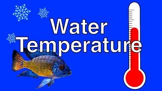 How Temperature Affects Fish Behavior
