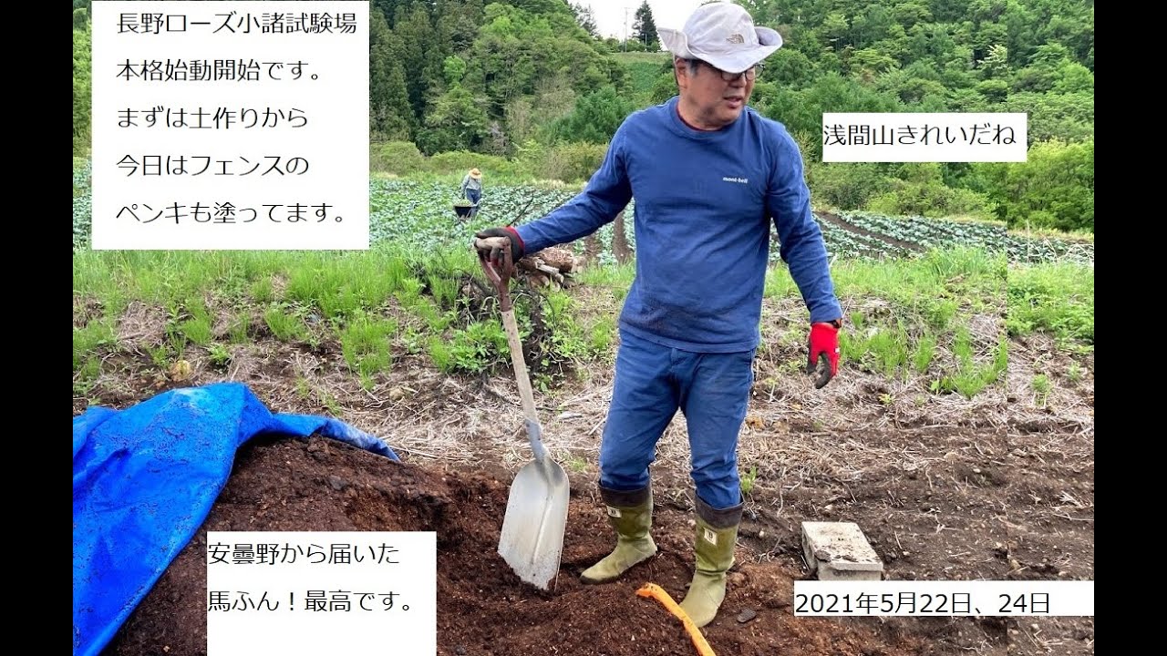 51 長野ローズ小諸試験場 いよいよ本格的始動です 21年5月22日 24日 Youtube