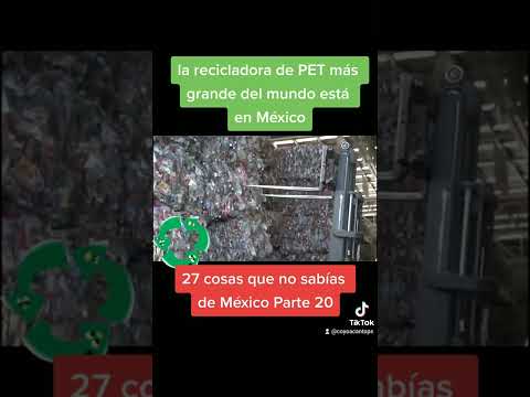 la recicladora PET más grande del mundo está en México 🇲🇽🇲🇽🇲🇽#shorts @coyoacantops