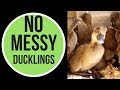 NO MESSY DUCKLINGS!! // RAISING DUCKLINGS WITHOUT THE MESS! /// BIG POND FARM