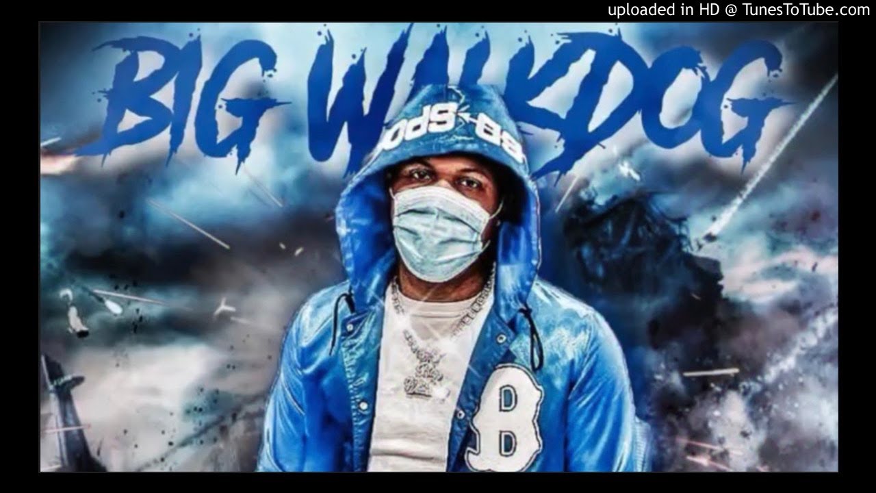 (FREE) Big Walk Dog Type Beat "Big Stepper" [2021] (Prod. By CFO Peeh