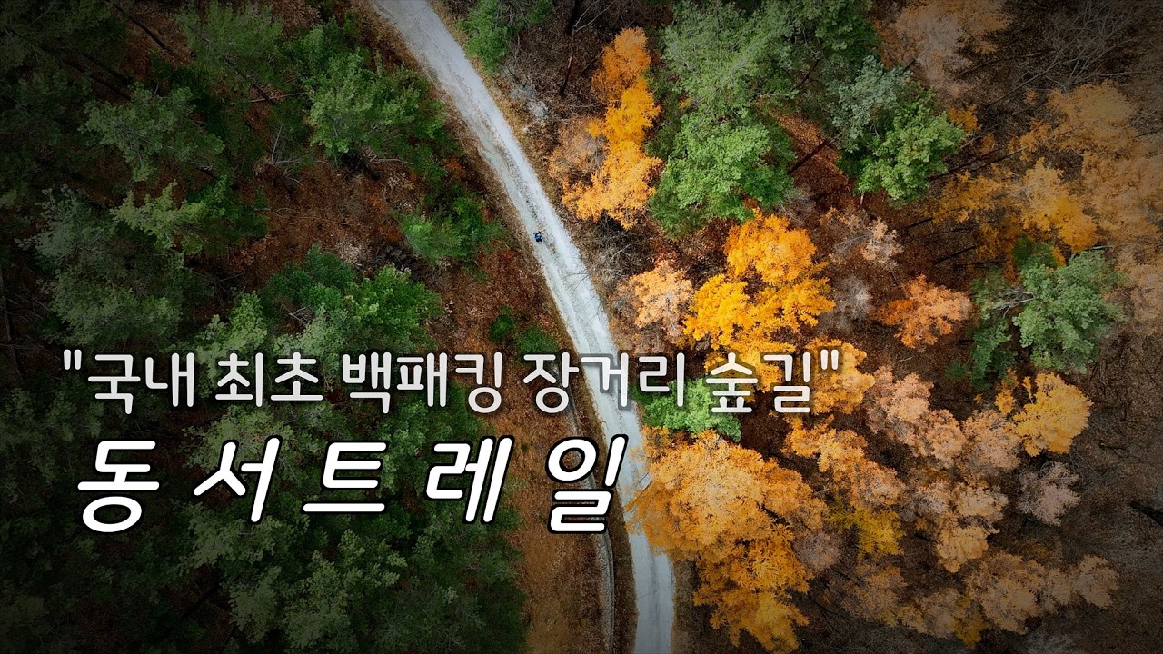 국내 최초 장거리 숲 백패킹 트레일/나홀로 6Days-143km/Silent Solo Hiking