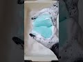 squeezes only