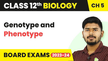 Genotype and Phenotype - Principles of Inheritance and Variation | Class 12 Biology (2022-23)