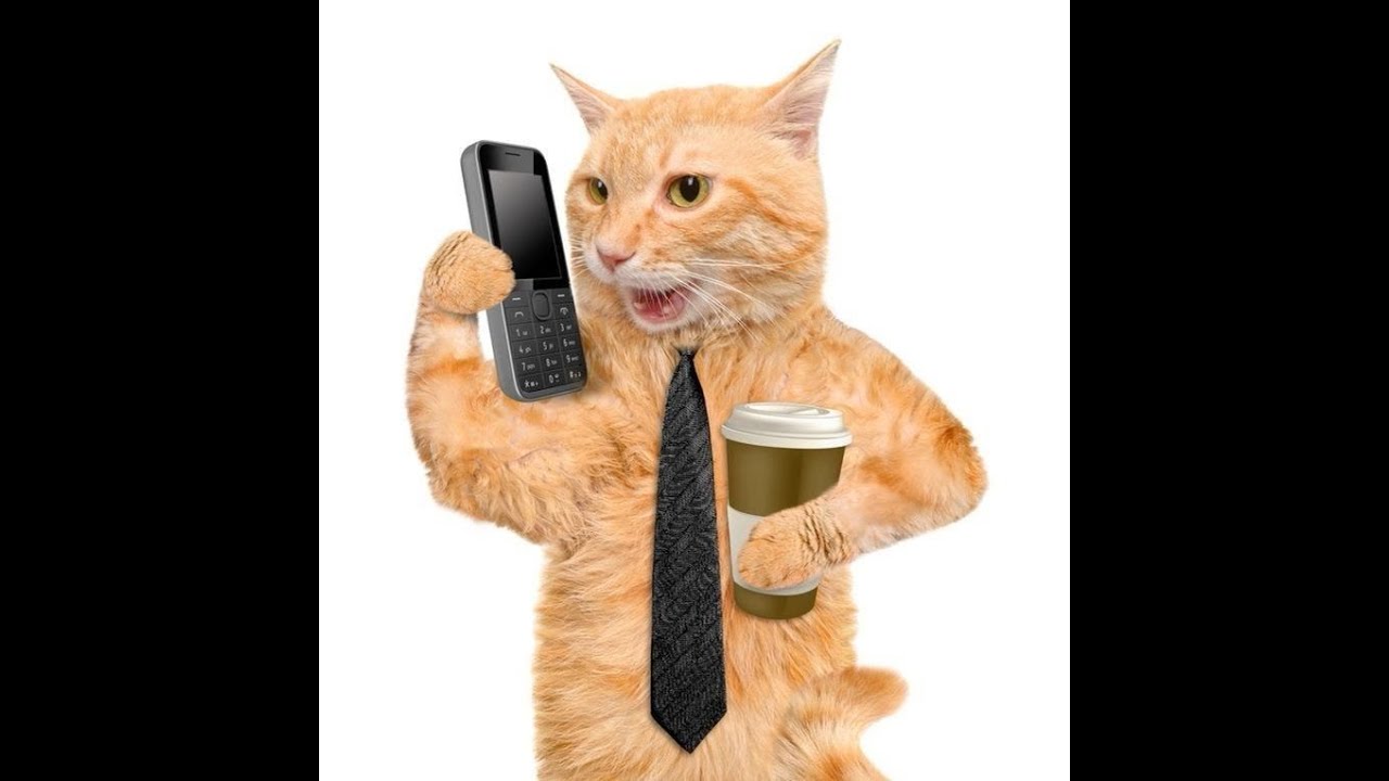 boolymon twovrt type beat