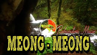 Instrumen Musik Bali - MEONG MEONG || Relaxation Traditional Music