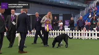Master Obedience Champion 2020