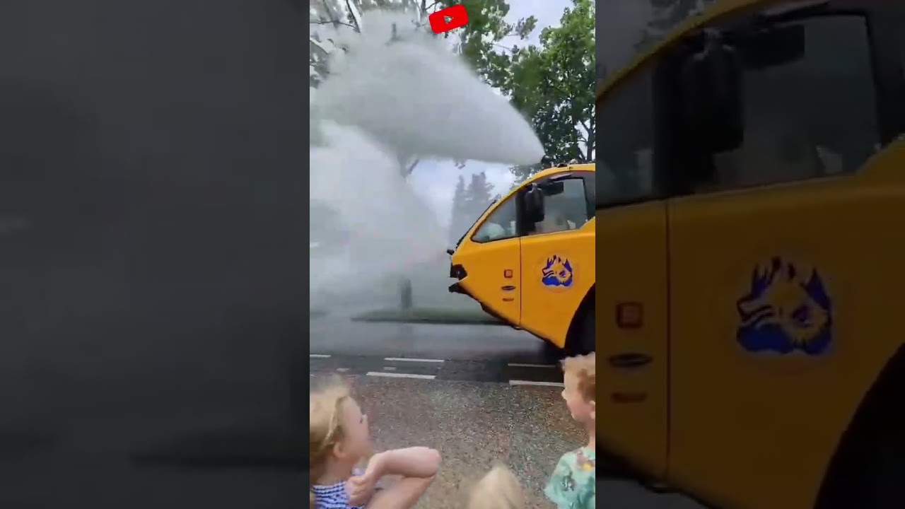 Street tree cleaning 