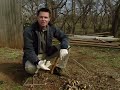 Coppice pruning technique