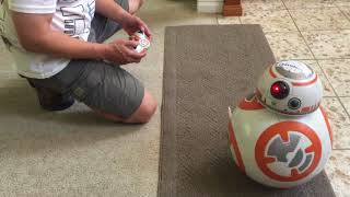 Spin Master Hero Droid BB8 review