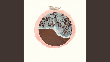 Bubbly Music for Good Spring Vibes