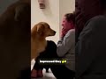 Your Dog Notices Your Weak Energy ⚡🐶