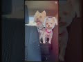 Grogu and Daisy #Ride along 2.0