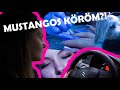 VELEM JÖTTETEK VEZETNI | ÚJ KÖRÖM | PÉNTEK-SZOMBAT VLOG