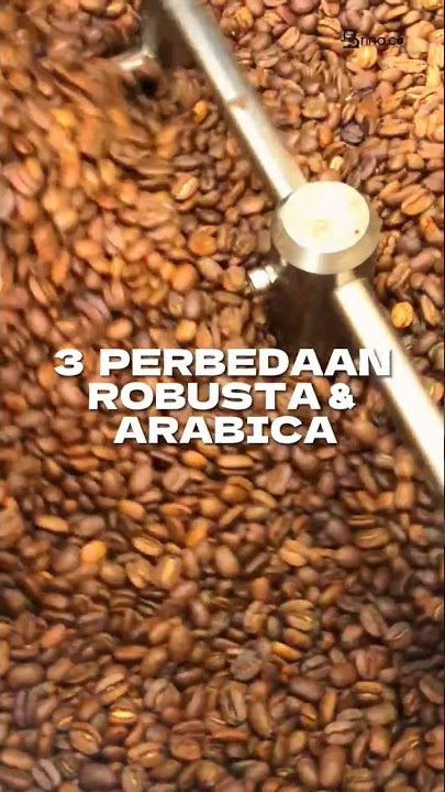 Kamu harus tau 3 perbedaan antara kopi robusta & arabica