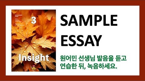 Insight 3, Essay 4-2