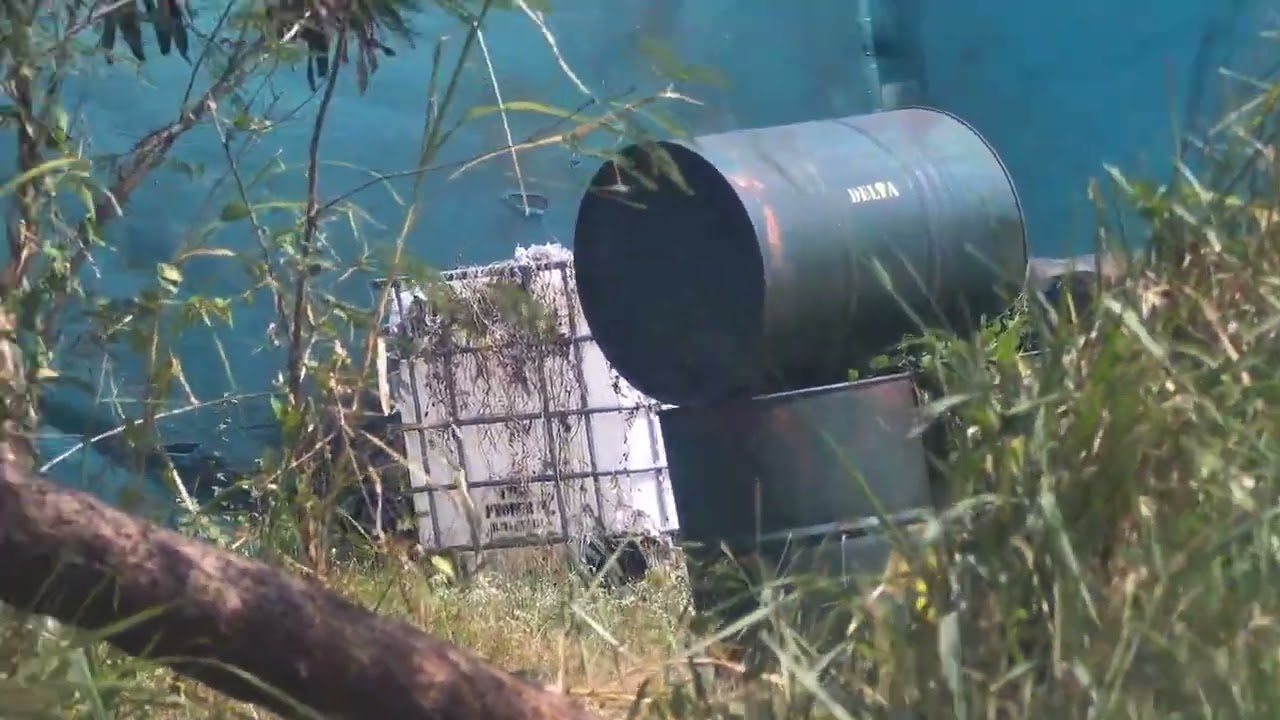 Sniping time !! Extraction mode !!! 🫡🫡😝😝