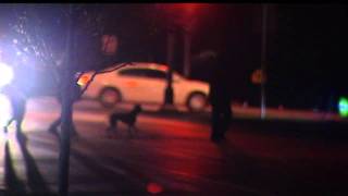 Madison Police: Homicides, Thefts Up But Overall Crime