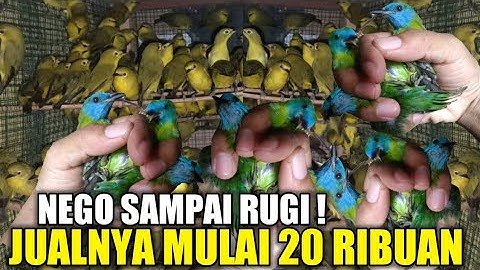 MENGKHAWATIRKAN ! KIOS PESAING BARU HARGA JUALNYA MAKIN UGAL UGALAN PANTESAN VIRAL SATU PRAMUKA