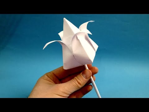 how to make paper tulip, paper tulip flower