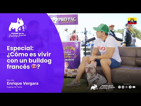 ¿Cómo es vivir con un bulldog francés 🐽? ft Enrique Vergara