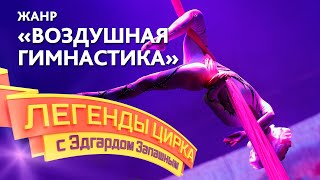 Легенды цирка с Эдгардом Запашным — Жанр – Воздушная гимнастика