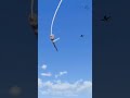 Pilot takes revenge after friend's simulation is shot down #plane #gaming