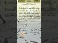 سورة الأعلى. #youtubeshorts #اكسبلور #edms #funny #duet #humor ل #memes #bestfriend