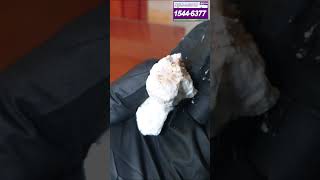 아파트 막힌 싱크대 하수구 횡주관 고압세척 장비로 뚫기