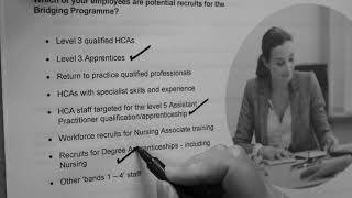 How to put the Bridging Programme in place