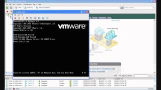 PEER 1 - Installing a Custom OS on VMWare
